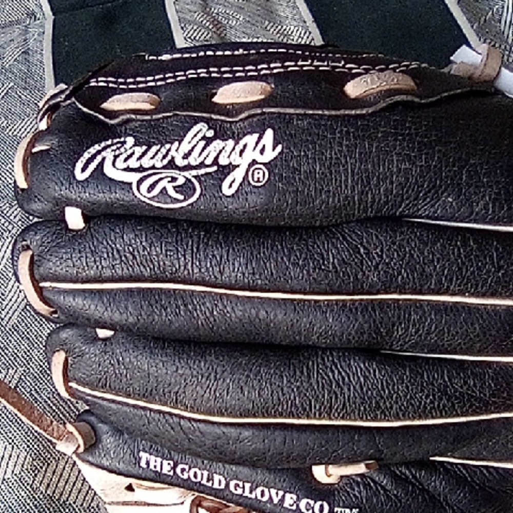 Rawlings Black and White Baseball Glove
